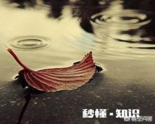 男生最反感女朋友的哪些行为