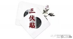 为何要夏练三伏