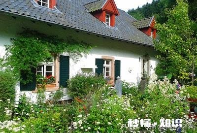 征用农村口粮地赔偿款如何分配