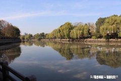 如何拍摄“最是一年春好处，绝胜烟柳满皇都”的唯美意境