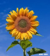 理科生高二下学期了480分左右，每天不断在焦虑和假努力，找不到适合自己的学习方法，怎么