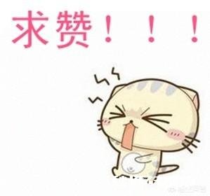 有哪些经典的“回忆杀”电影