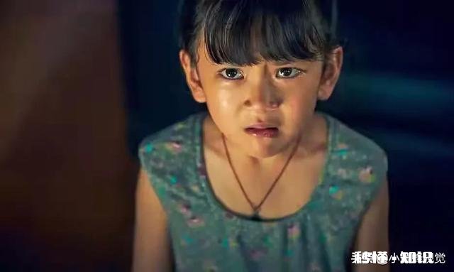 你觉得电影《误杀》中的蒙太奇在中国能够实现吗为什么