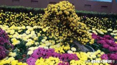 如何写好一篇散文