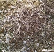 准备回农村做养殖业，前景怎么样你有哪些建议