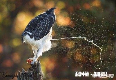 今天吃饭时候突然在里面发现了一根铁丝吓死了，你们有没有吃饭吃到一些奇怪的东西