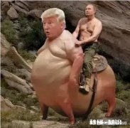 有人知道这是什么狗吗