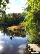 人到中年，如何才能找到合适自己的人生伴侣