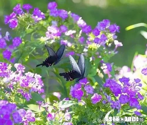 “大器晚成”这句话适合什么样的人