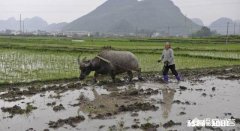 在古代，为什么女性的地位会比较低