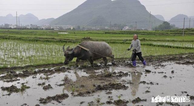 在古代，为什么女性的地位会比较低
