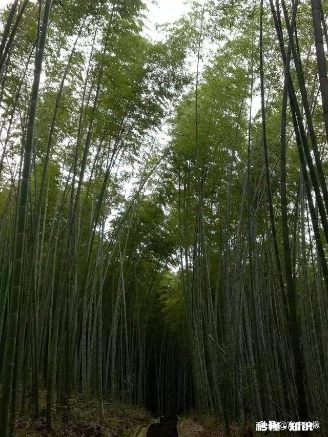 云南援助湖北首批医疗队顺利返滇凯旋，你想对他们说什么