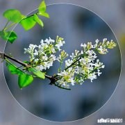 用一个短句形容你爱的人，内容要蕴意一点，抒情一点，你会怎么说