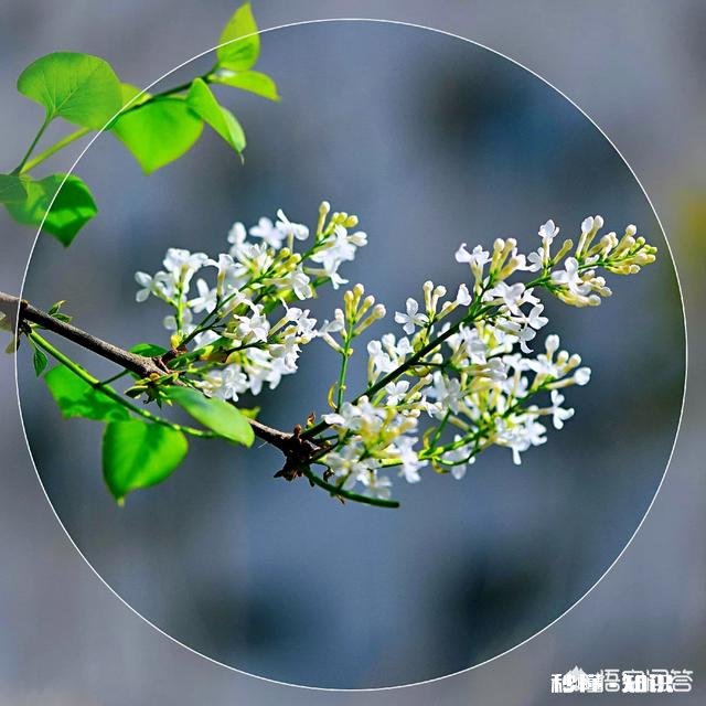 用一个短句形容你爱的人，内容要蕴意一点，抒情一点，你会怎么说