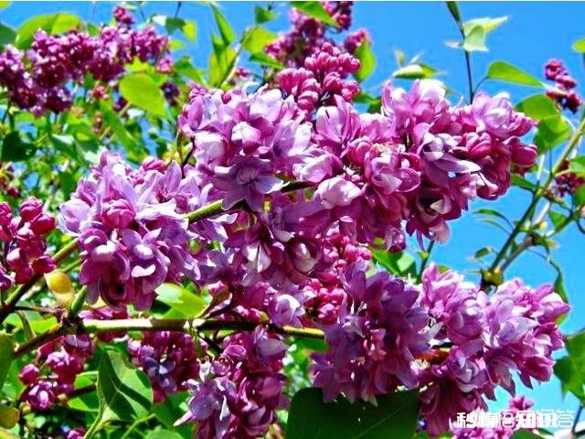 用一个短句形容你爱的人，内容要蕴意一点，抒情一点，你会怎么说