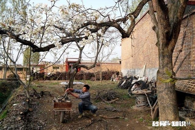 以“一个锤子”作为摄影主题，如何拍组片