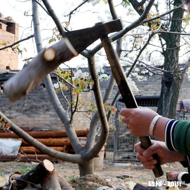 以“一个锤子”作为摄影主题，如何拍组片