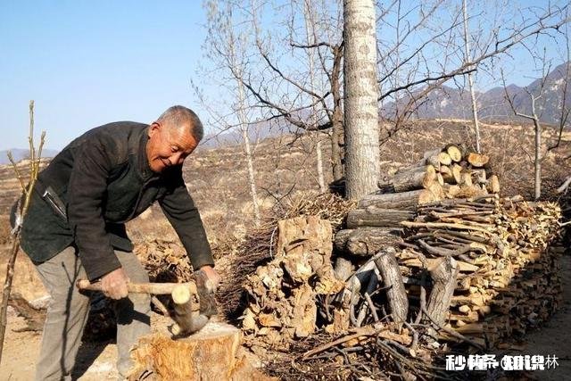 以“一个锤子”作为摄影主题，如何拍组片