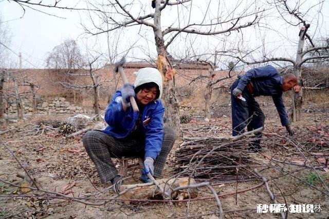 以“一个锤子”作为摄影主题，如何拍组片