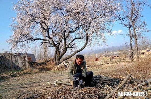 以“一个锤子”作为摄影主题，如何拍组片