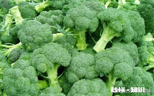 请问武松那个年代有西兰花这个菜吗