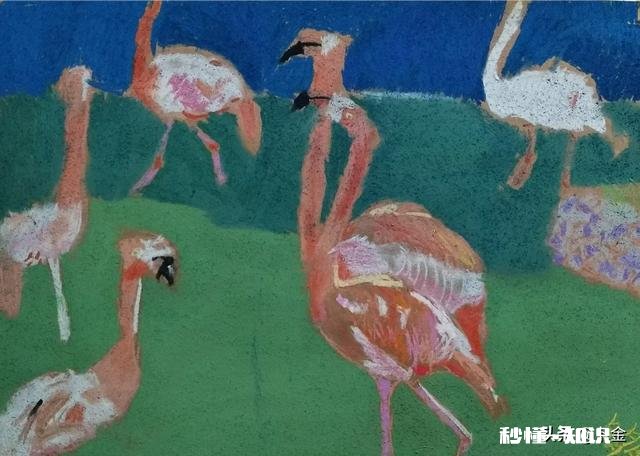 5岁的宝贝刚打算开始学艺术，学什么