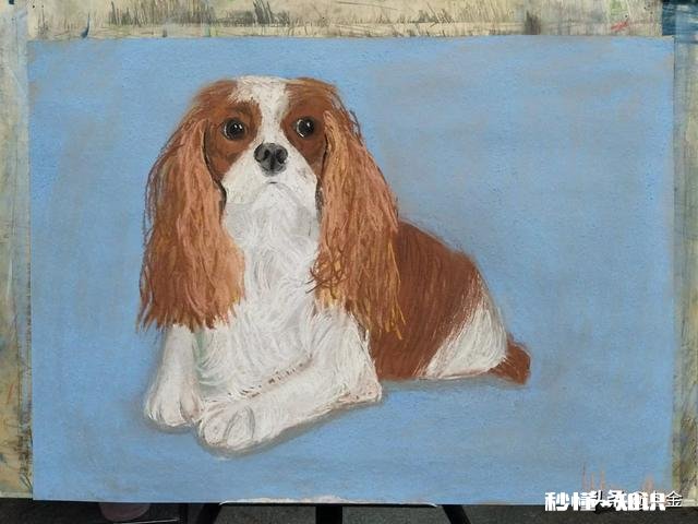 5岁的宝贝刚打算开始学艺术，学什么