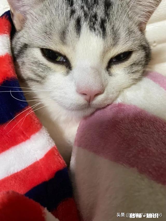 有没有听完脊背发凉的鬼故事