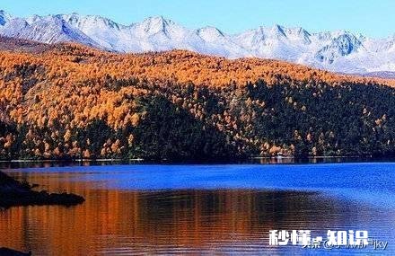 人生低谷期你会主动找朋友帮忙，还是自己熬