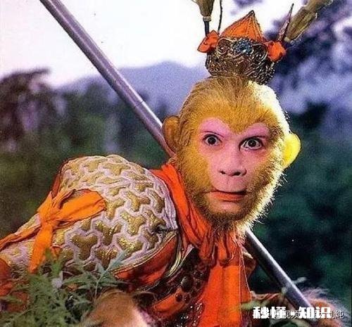 《西游记》孙悟空的扮演者六小龄童如果有一天不能再现舞台，还会有合适的人选吗