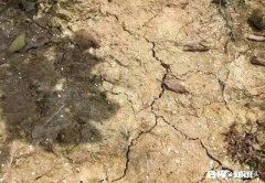 土地因过度使用农药化肥所产生的问题应如何解决