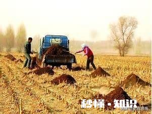 土地因过度使用农药化肥所产生的问题应如何解决