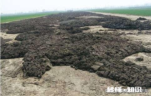 土地因过度使用农药化肥所产生的问题应如何解决