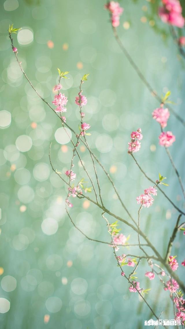 是什么让一个讨厌烟味，酒味的人，从讨厌到靠它们来给温暖