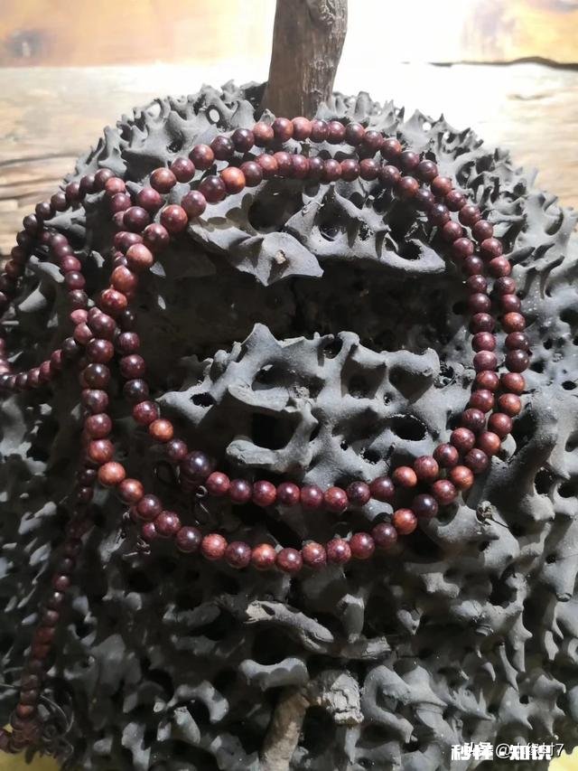 人们常说的紫檀木有这么好吗