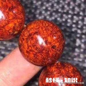 人们常说的紫檀木有这么好吗