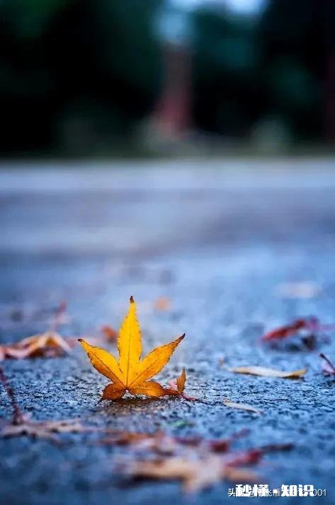 别人让我不开心了，原谅又怕变本加厉，我就发脾气，有好办法吗