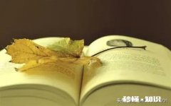 别人让我不开心了，原谅又怕变本加厉，我就发脾气，有好办法吗