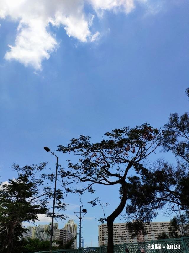 我妈干家务很随便，感觉好邋遢，怎么办