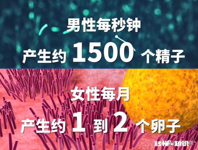 为什么不研发针对男性的避孕药