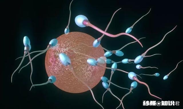 为什么不研发针对男性的避孕药