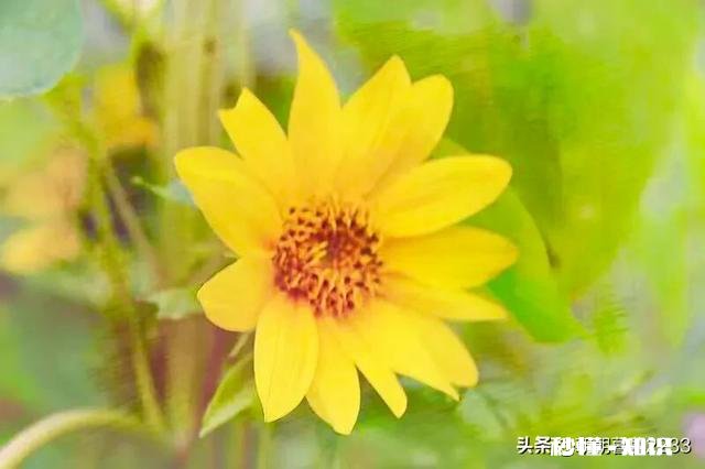 在学校被欺负，而爸妈觉得一个巴掌拍不响，你们遇到过吗怎么办