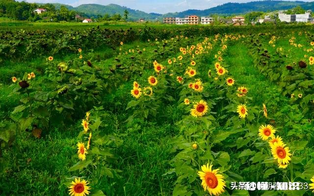 在学校被欺负，而爸妈觉得一个巴掌拍不响，你们遇到过吗怎么办