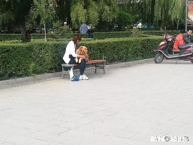 在学校被欺负，而爸妈觉得一个巴掌拍不响，你们遇到过吗怎么办