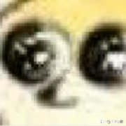 如何看待哔哩哔哩动漫的评分