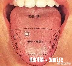 肝不好的舌苔会有什么征兆