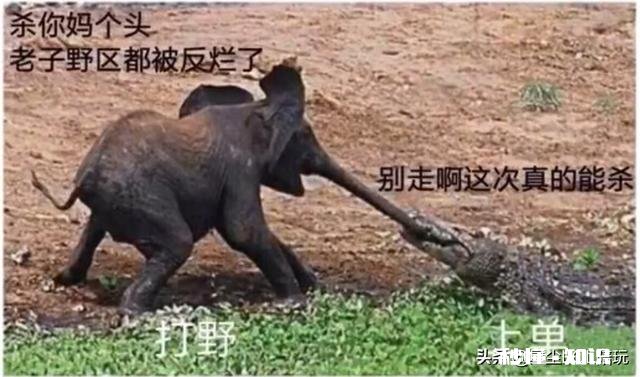 LOL低端局有哪些代表性错误