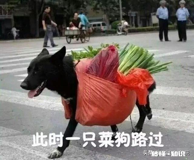 LOL低端局有哪些代表性错误