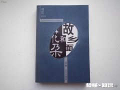 《故乡面和花朵》讲的什么