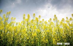 有人说“人到中年，你的收入，就是你的底气”你怎么看